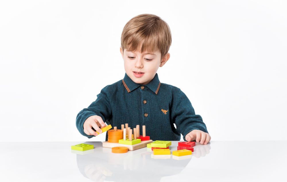 Wooden shape sorters Square LSG3 age 1,5 years + For boys